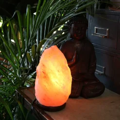 Amber Himalayan Salt Lamps (Various Sizes 1.5kg - 22kg)