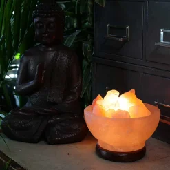 Bowl of Fire Himalayan Salt Lamp
