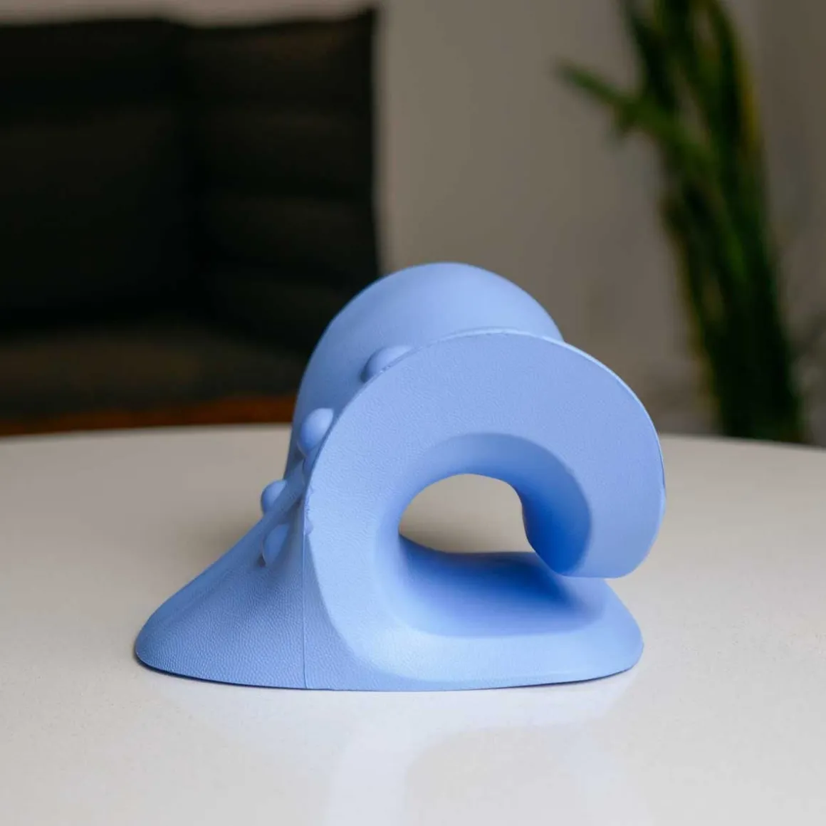 Chiro Pro Neck Support