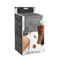 Coconut Wet n' Dry Brush (Various Sizes)
