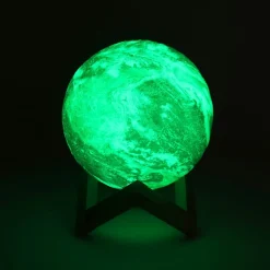 Earth Globe Light