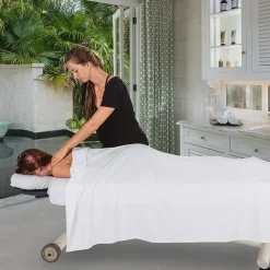 Earthlite Ellora Vista Flat Electric Massage Table 30