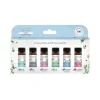 Essential Oil Blends Gift Set (6 x 10 ml Bottles)