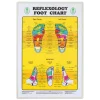 Foot Reflexology Chart