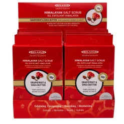 Himalayan Salt Scrub (100 g) Displayer of 12