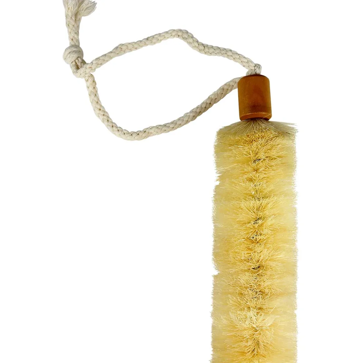 Long Back Sisal Dry Brush