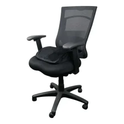 Orthopedic Seat and Back Support