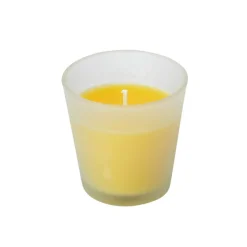 Peppermint Citronella Candle & Incense Package With Custom Floor Displayer