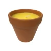 Peppermint Citronella Infused Candle In a Terracotta Pot Prepack of 12