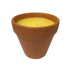 Peppermint Citronella Infused Candle In a Terracotta Pot Prepack of 12