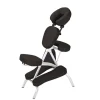 Pro Lite II On Site Portable Massage Chair Package
