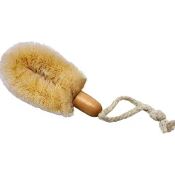 Sisal Dry Brushes