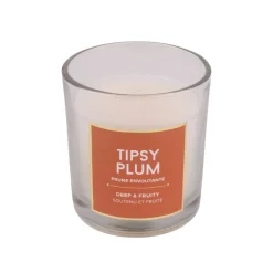 Soy Wax Scented Candles (Various Fragrances)
