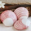 ThermaBliss Ceramic Codacia Shells (2-Pack)