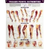 Trigger Points: Extremities Chart
