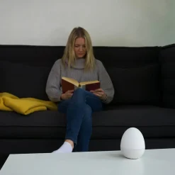 Zen Essential Oil Diffuser